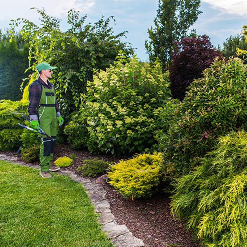 Albuquerque Landscaping Services by Commercial Property Maintenance