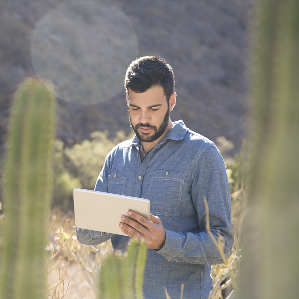 Read more about the article Transforming Los Lunas Businesses with the #1 Innovative Professional Landscape Maintenance | Commercial Property Maintenance